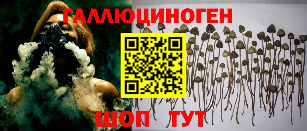 Чусовой  Псилоцибиновые грибы GOLDEN TEACHER  где купить наркоту  Псилоцибиновые грибы MAGIC MUSHROOMS  Вход с VPN 